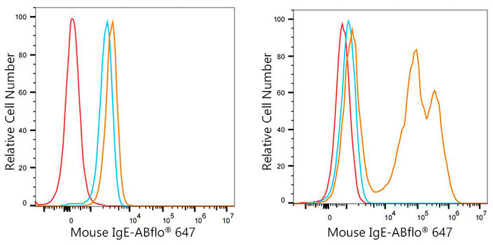 ABflo® 647 Rabbit anti-Mouse IgE mAb
