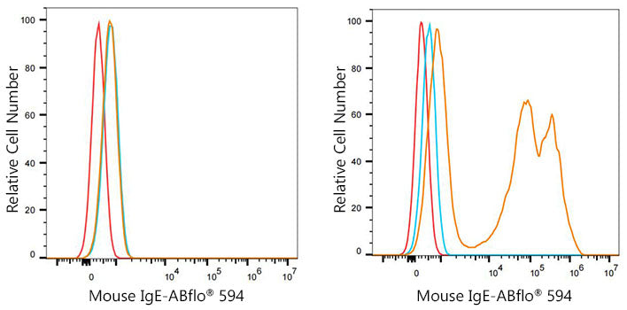 ABflo® 594 Rabbit anti-Mouse IgE mAb