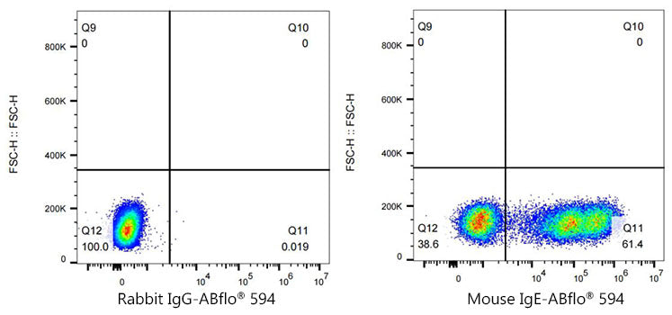 ABflo® 594 Rabbit anti-Mouse IgE mAb