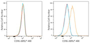 ABflo® 488 Rabbit anti-Human CD96/TACTILE mAb