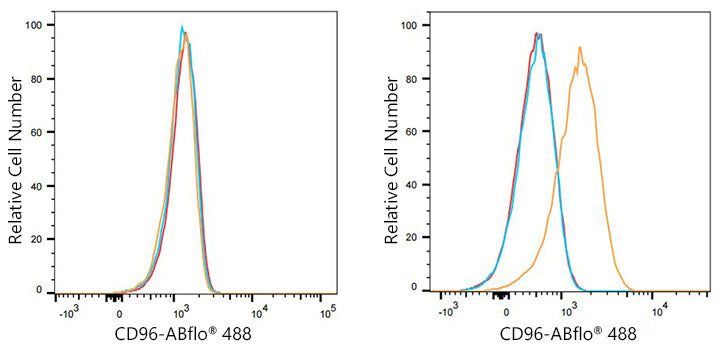 ABflo® 488 Rabbit anti-Human CD96/TACTILE mAb