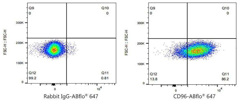 ABflo® 647 Rabbit anti-Human CD96/TACTILE mAb