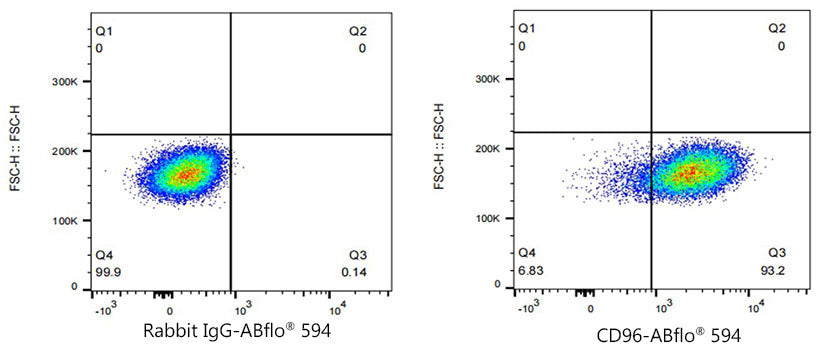 ABflo® 594 Rabbit anti-Human CD96/TACTILE mAb