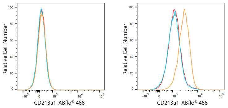 ABflo® 488 Rabbit anti-Human CD213a1/IL-13Rα1 mAb