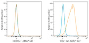 ABflo® 647 Rabbit anti-Human CD213a1/IL-13Rα1 mAb