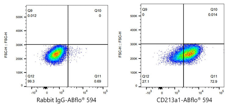 ABflo® 594 Rabbit anti-Human CD213a1/IL-13Rα1 mAb