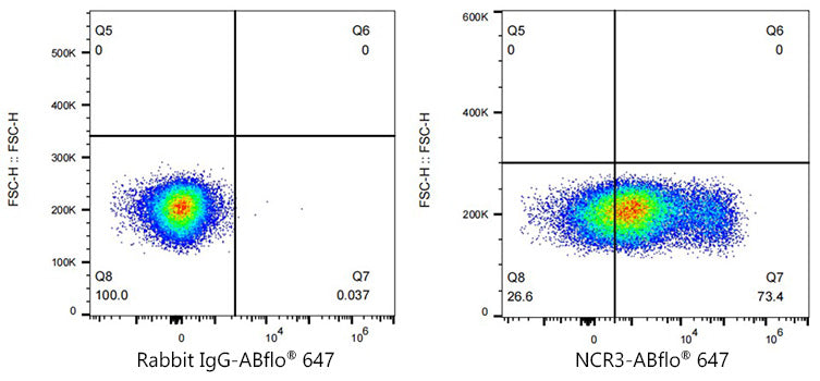 NCR3 Rabbit mAb