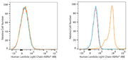 ABflo® 488 Rabbit anti-Human Lambda Light Chain mAb