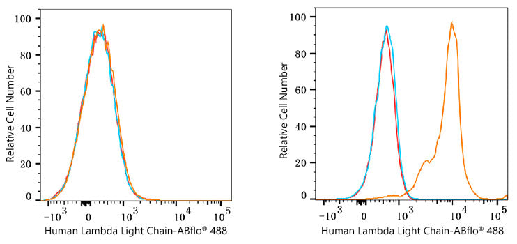 ABflo® 488 Rabbit anti-Human Lambda Light Chain mAb