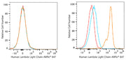 ABflo® 647 Rabbit anti-Human Lambda Light Chain mAb