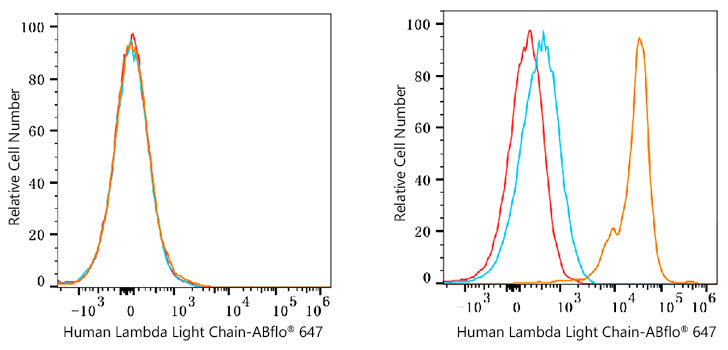 ABflo® 647 Rabbit anti-Human Lambda Light Chain mAb