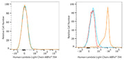 ABflo® 594 Rabbit anti-Human Lambda Light Chain mAb