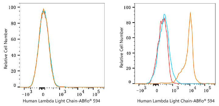 ABflo® 594 Rabbit anti-Human Lambda Light Chain mAb
