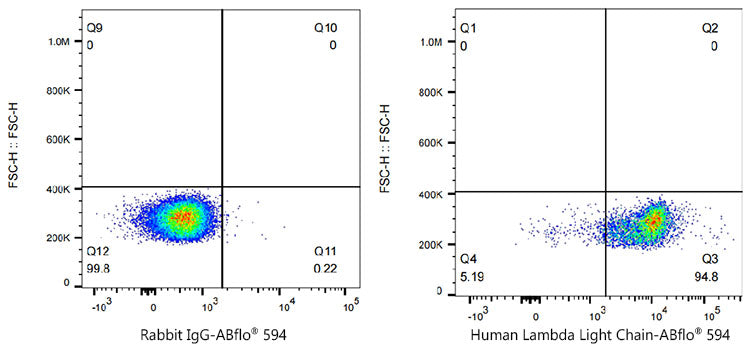 ABflo® 594 Rabbit anti-Human Lambda Light Chain mAb