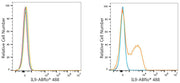 ABflo® 488 Rabbit anti-Human IL9 mAb