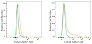 ABflo® 488 Rabbit anti-Human CD62E/E-Selectin mAb