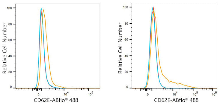 ABflo® 488 Rabbit anti-Human CD62E/E-Selectin mAb