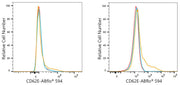 ABflo® 594 Rabbit anti-Human CD62E/E-Selectin mAb
