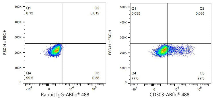 ABflo® 488 Rabbit anti-Human CD303/BDCA-2 mAb