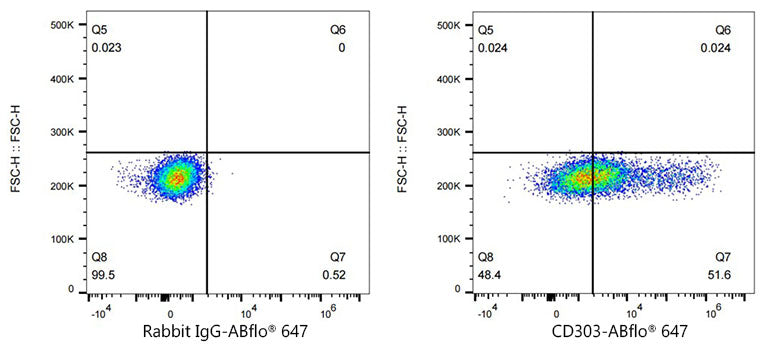 ABflo® 647 Rabbit anti-Human CD303/BDCA-2 mAb