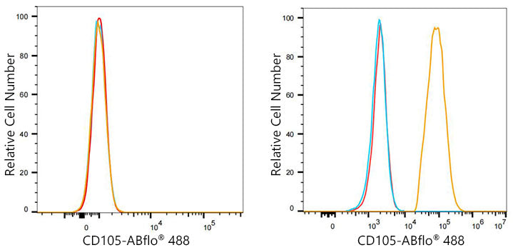 ABflo® 488 Rabbit anti-Human CD105/Endoglin mAb