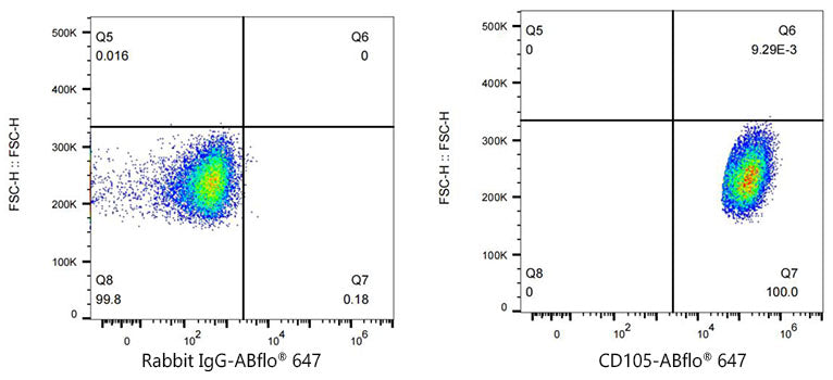 ABflo® 647 Rabbit anti-Human CD105/Endoglin mAb