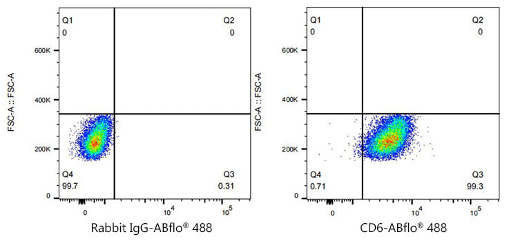 ABflo® 488 Rabbit anti-Human CD6 mAb