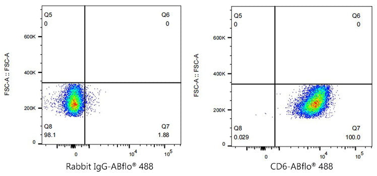 ABflo® 647 Rabbit anti-Human CD6 mAb