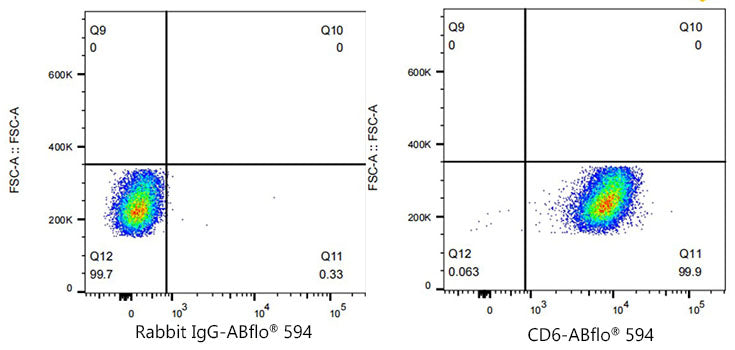 ABflo® 594 Rabbit anti-Human CD6 mAb