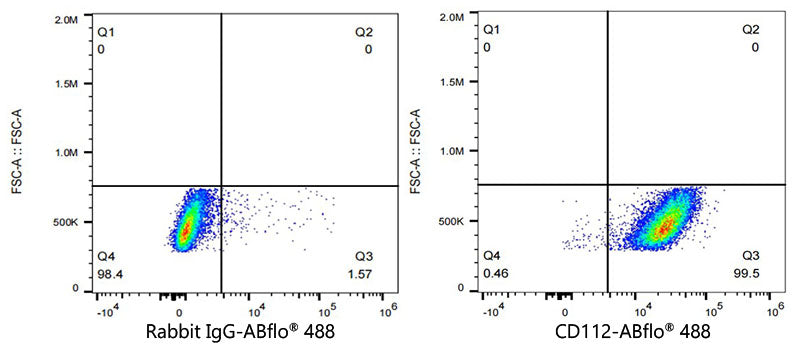 ABflo® 488 Rabbit anti-Human CD112/Nectin-2 mAb