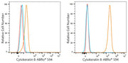 ABflo® 594 Rabbit anti-Human Cytokeratin 8 mAb