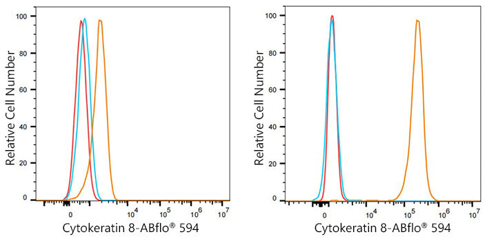 ABflo® 594 Rabbit anti-Human Cytokeratin 8 mAb