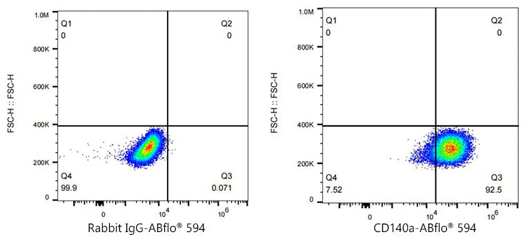 ABflo® 594 Rabbit anti-Human/Mouse PDGFRα/CD140a mAb