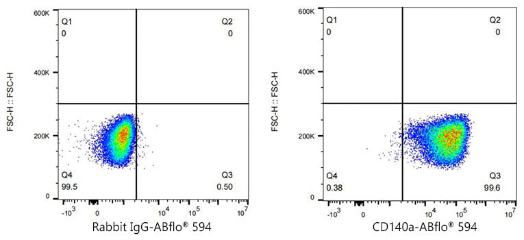 ABflo® 594 Rabbit anti-Human/Mouse PDGFRα/CD140a mAb