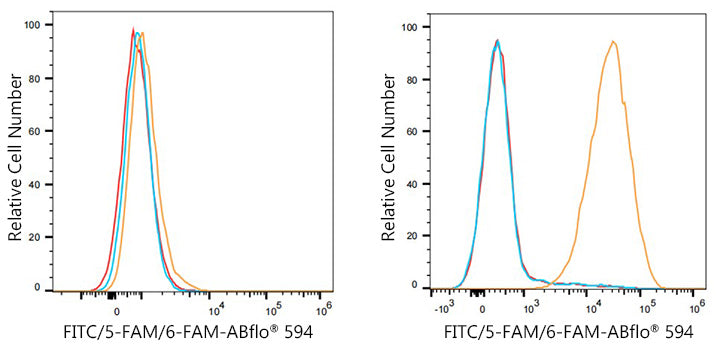 ABflo® 594 Rabbit anti-FITC/5-FAM/6-FAM mAb
