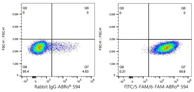 ABflo® 594 Rabbit anti-FITC/5-FAM/6-FAM mAb