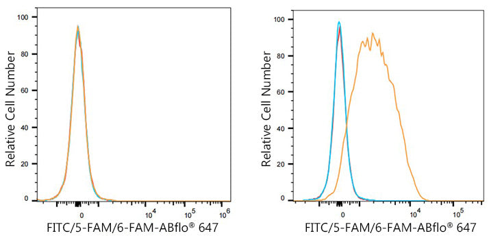 ABflo® 647 Rabbit anti-FITC/5-FAM/6-FAM mAb