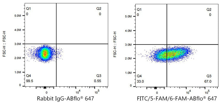 ABflo® 647 Rabbit anti-FITC/5-FAM/6-FAM mAb