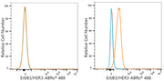ABflo® 488 Rabbit anti-Human ErbB3/HER3 mAb