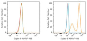 ABflo® 488 Rabbit anti-Human Siglec-8 mAb