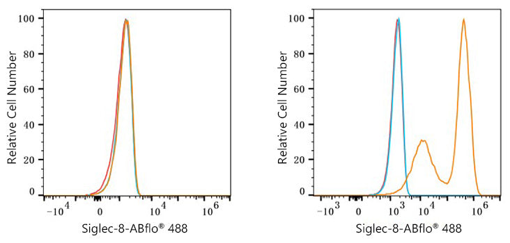 ABflo® 488 Rabbit anti-Human Siglec-8 mAb