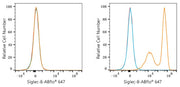 ABflo® 647 Rabbit anti-Human Siglec-8 mAb