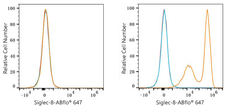 ABflo® 647 Rabbit anti-Human Siglec-8 mAb