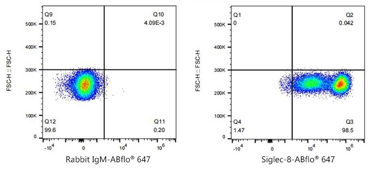 ABflo® 647 Rabbit anti-Human Siglec-8 mAb