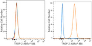 ABflo® 488 Rabbit anti-Human TROP-2 mAb