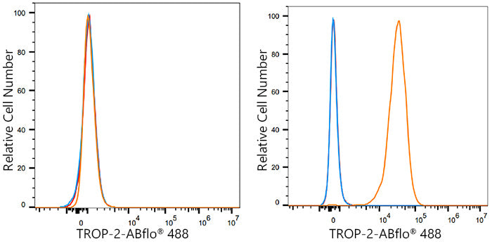 ABflo® 488 Rabbit anti-Human TROP-2 mAb