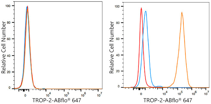 ABflo® 647 Rabbit anti-Human TROP-2 mAb