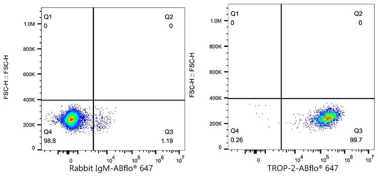 ABflo® 647 Rabbit anti-Human TROP-2 mAb