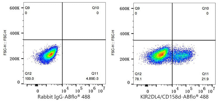 ABflo® 488 Rabbit anti-Human KIR2DL4/CD158d mAb