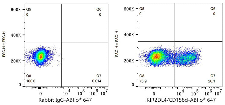 ABflo® 647 Rabbit anti-Human KIR2DL4/CD158d mAb